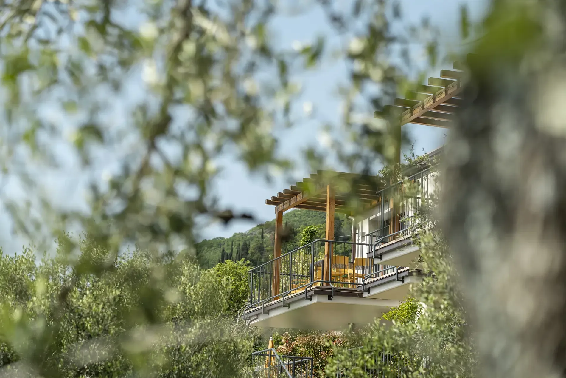 Balkon mit Holzpergola zwischen Olivenbäumen, Hügellandschaft.