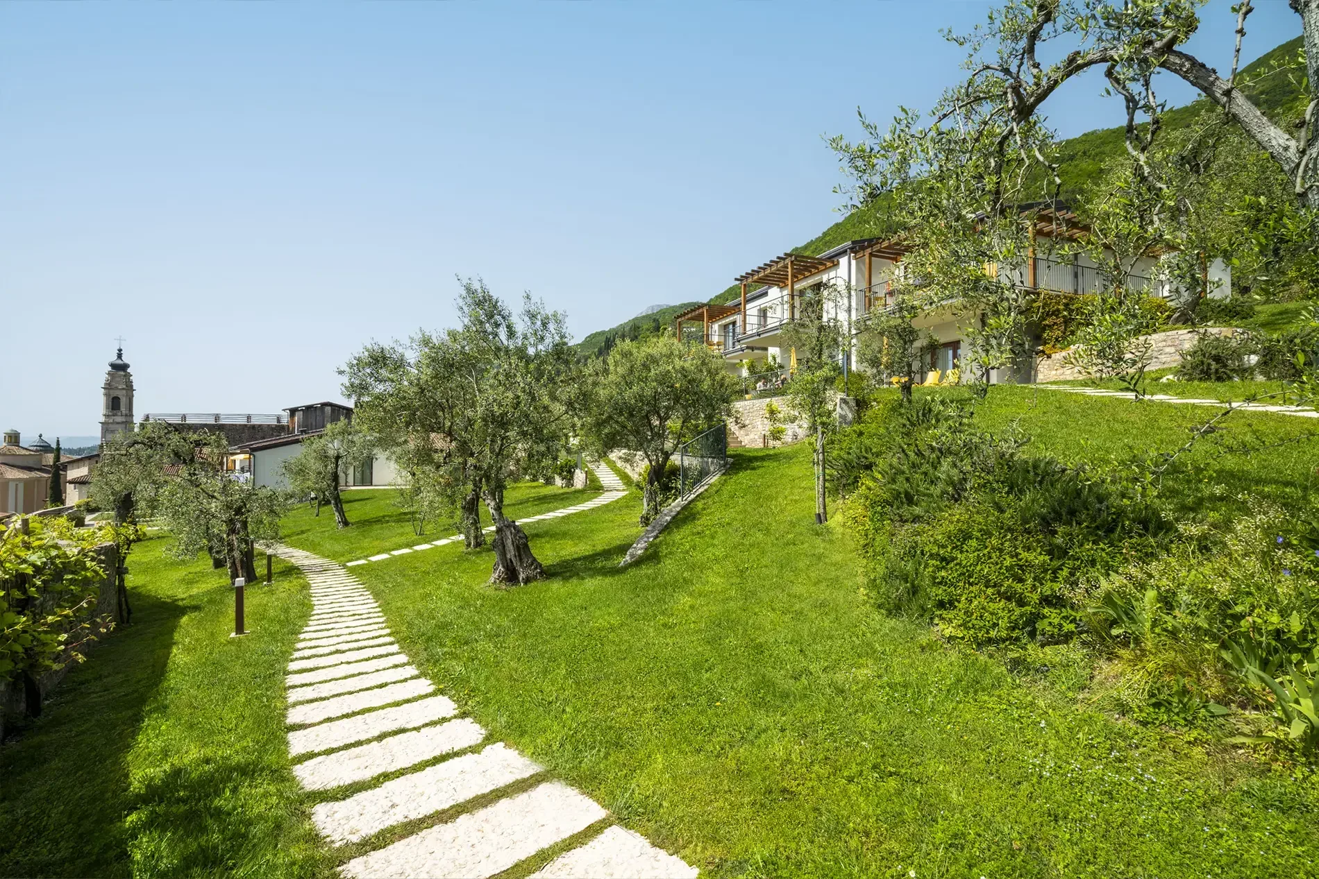 Hillside garden with stone path, olive trees and terraced apartments