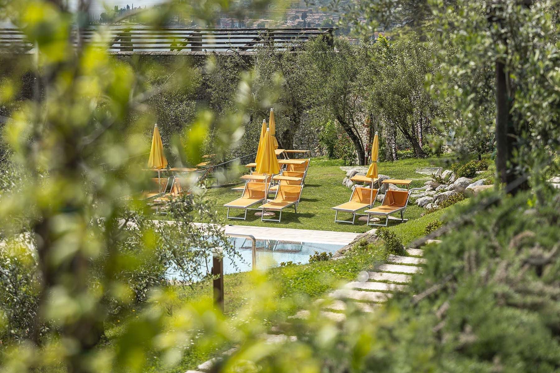 Giardino con piscina tra ulivi, lettini e ombrelloni gialli