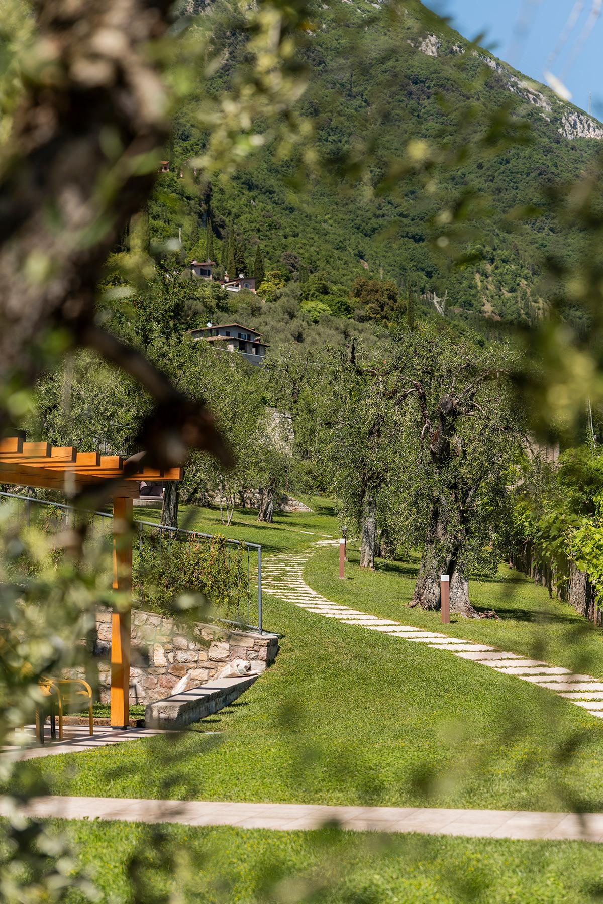 sentiero nel giardino con ulivi e pergola ai piedi della montagna