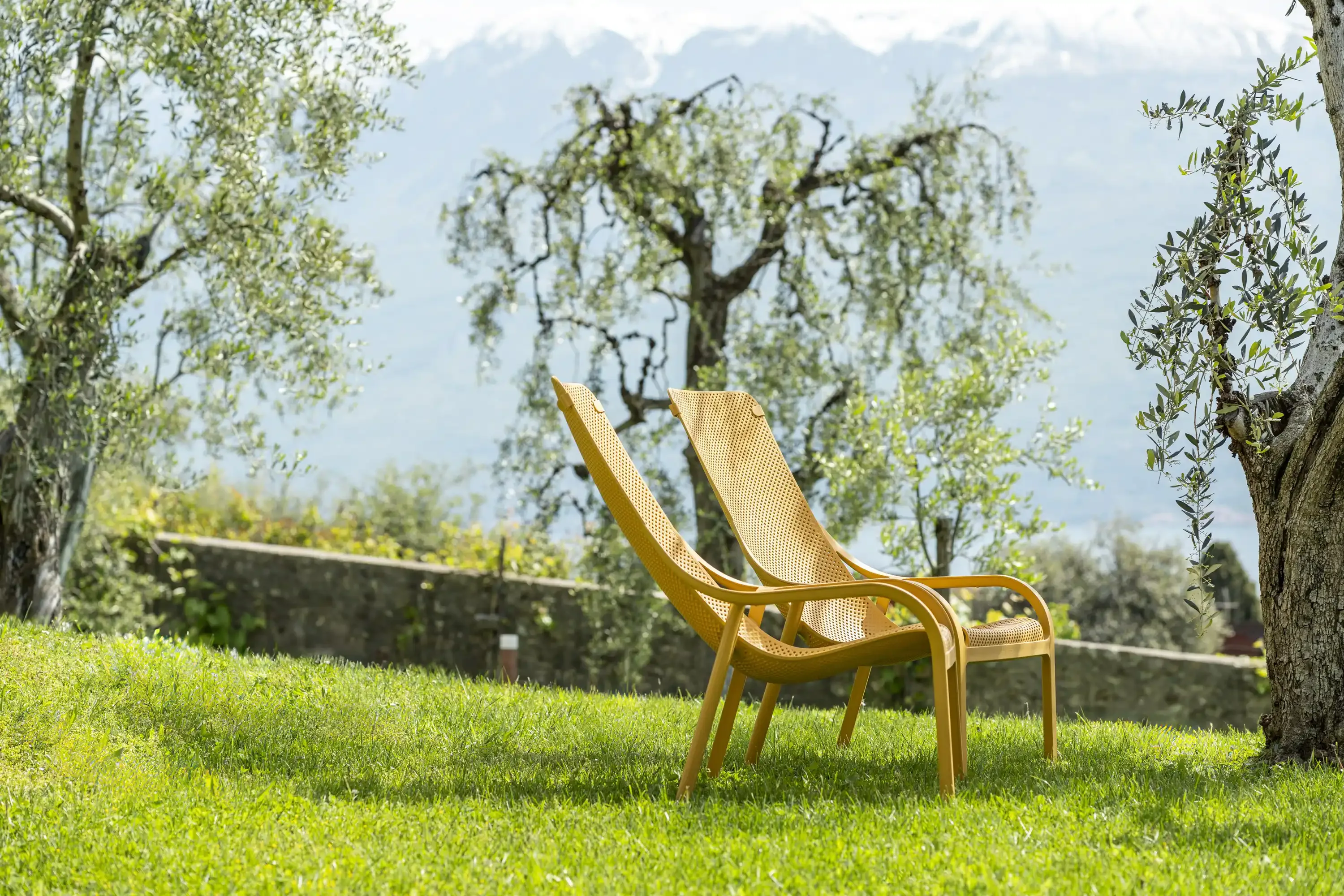 Two yellow lounge chairs on a grassy garden lawn with trees and mountains
